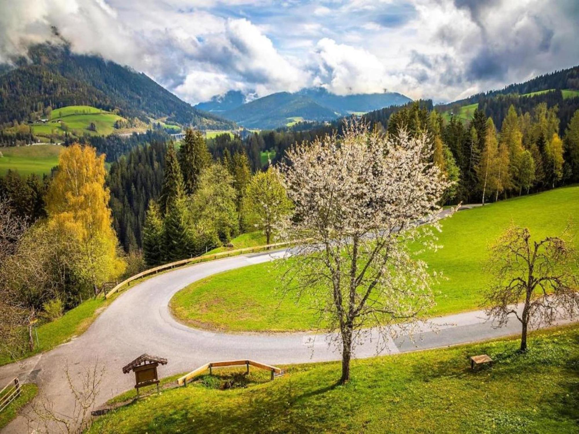 Apartment In Altenmarkt In Pongau Near Ski Area التنماركت ام بوناغ المظهر الخارجي الصورة