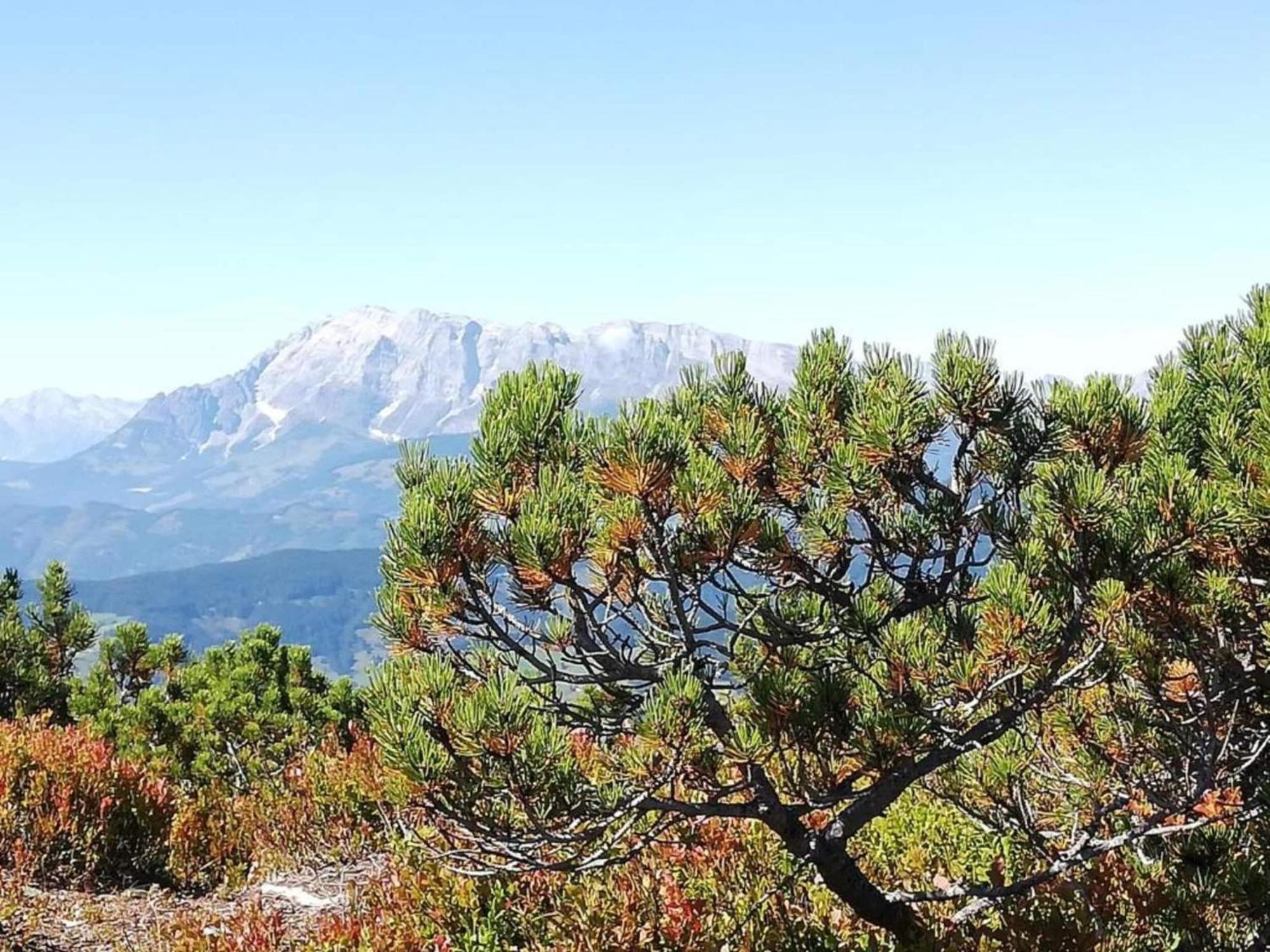 Apartment In Altenmarkt In Pongau Near Ski Area التنماركت ام بوناغ المظهر الخارجي الصورة